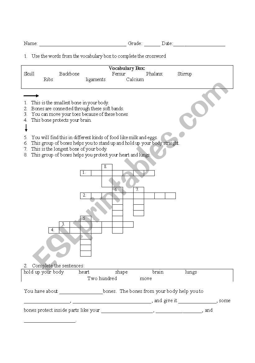 bones worksheet