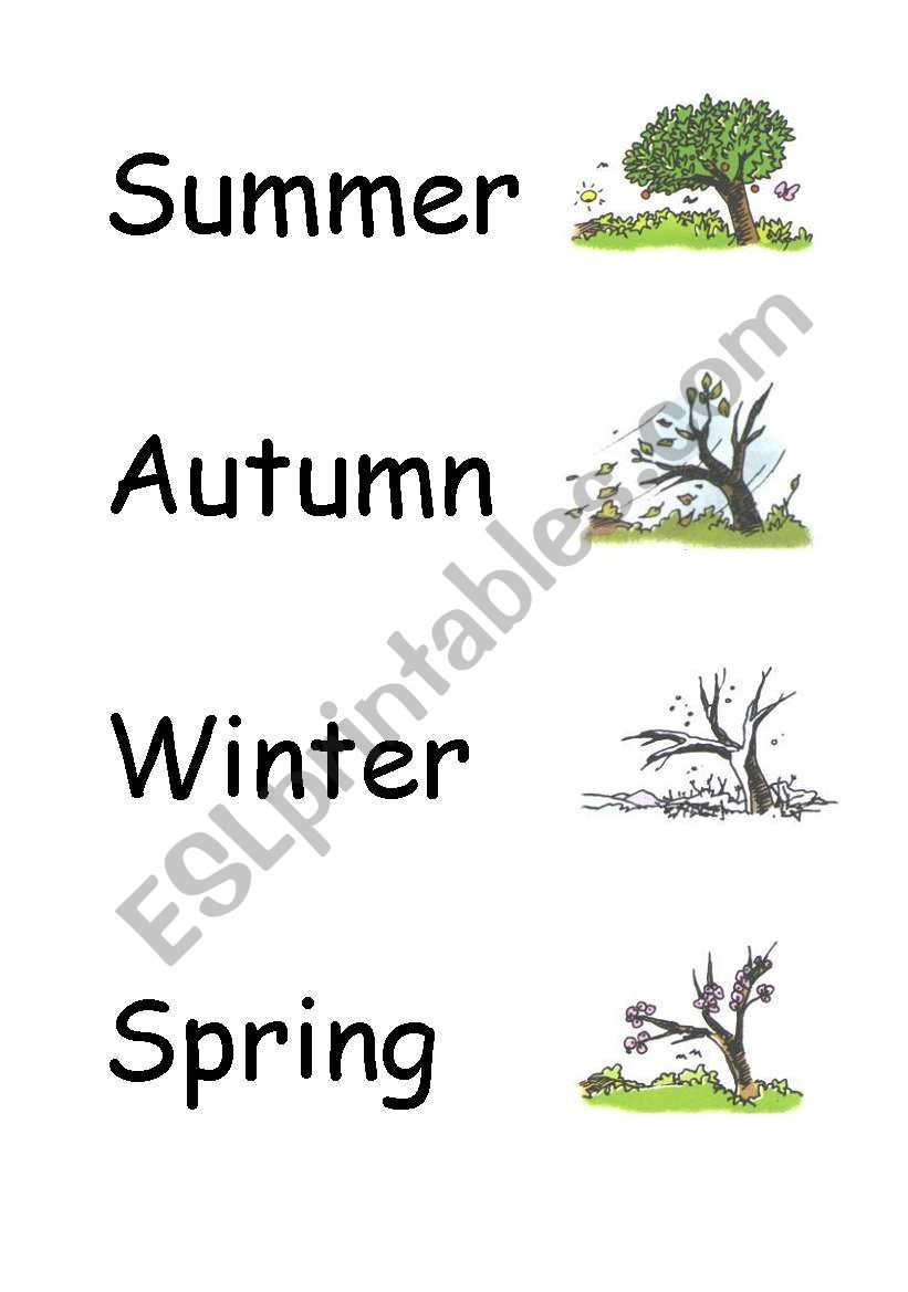 Seasons worksheet