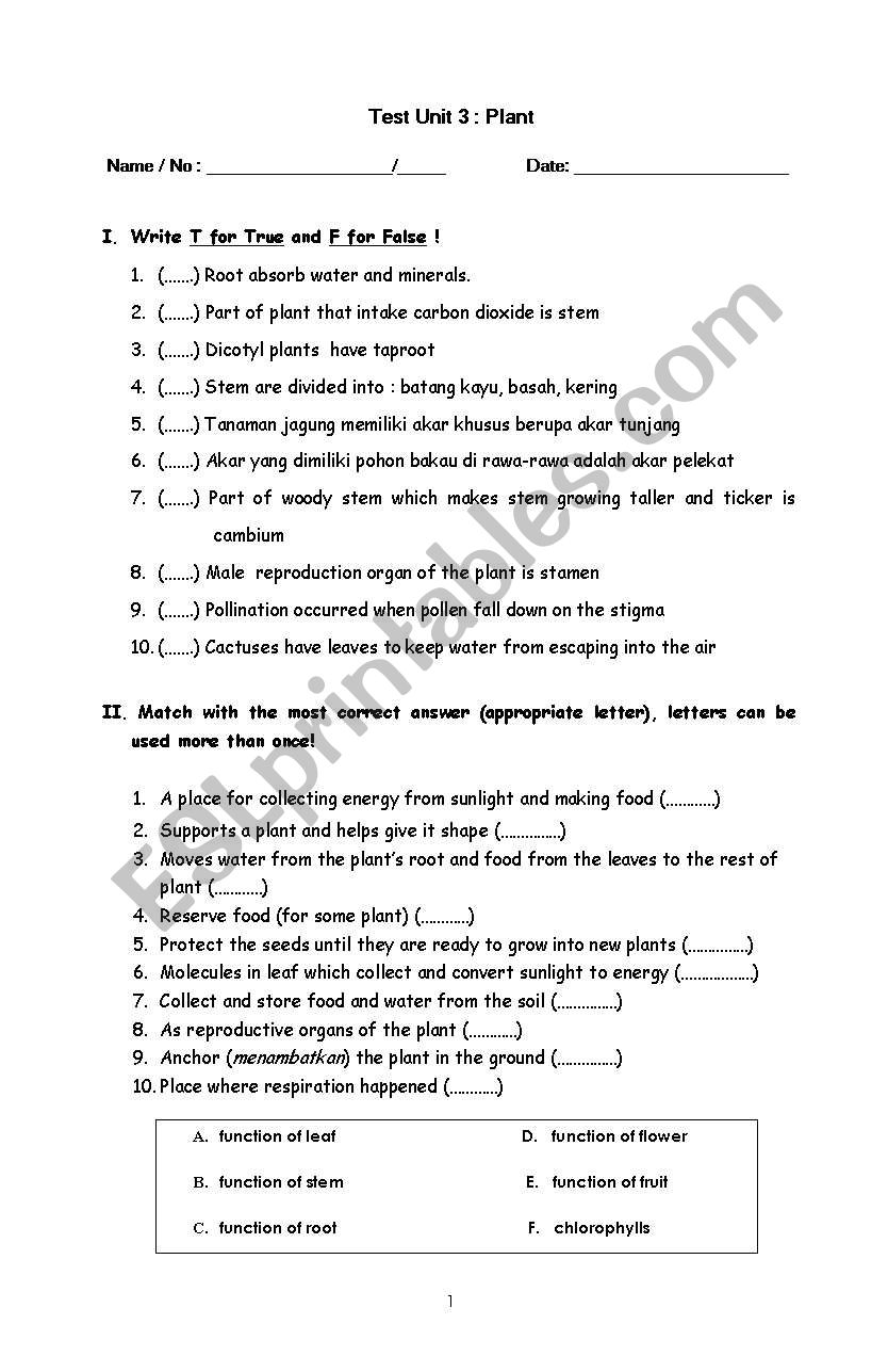 plant worksheet