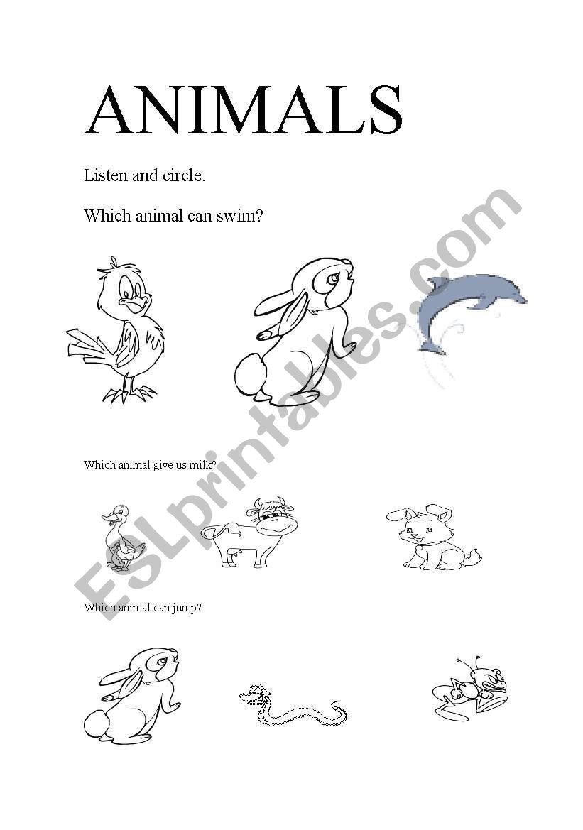 animals 2 worksheet