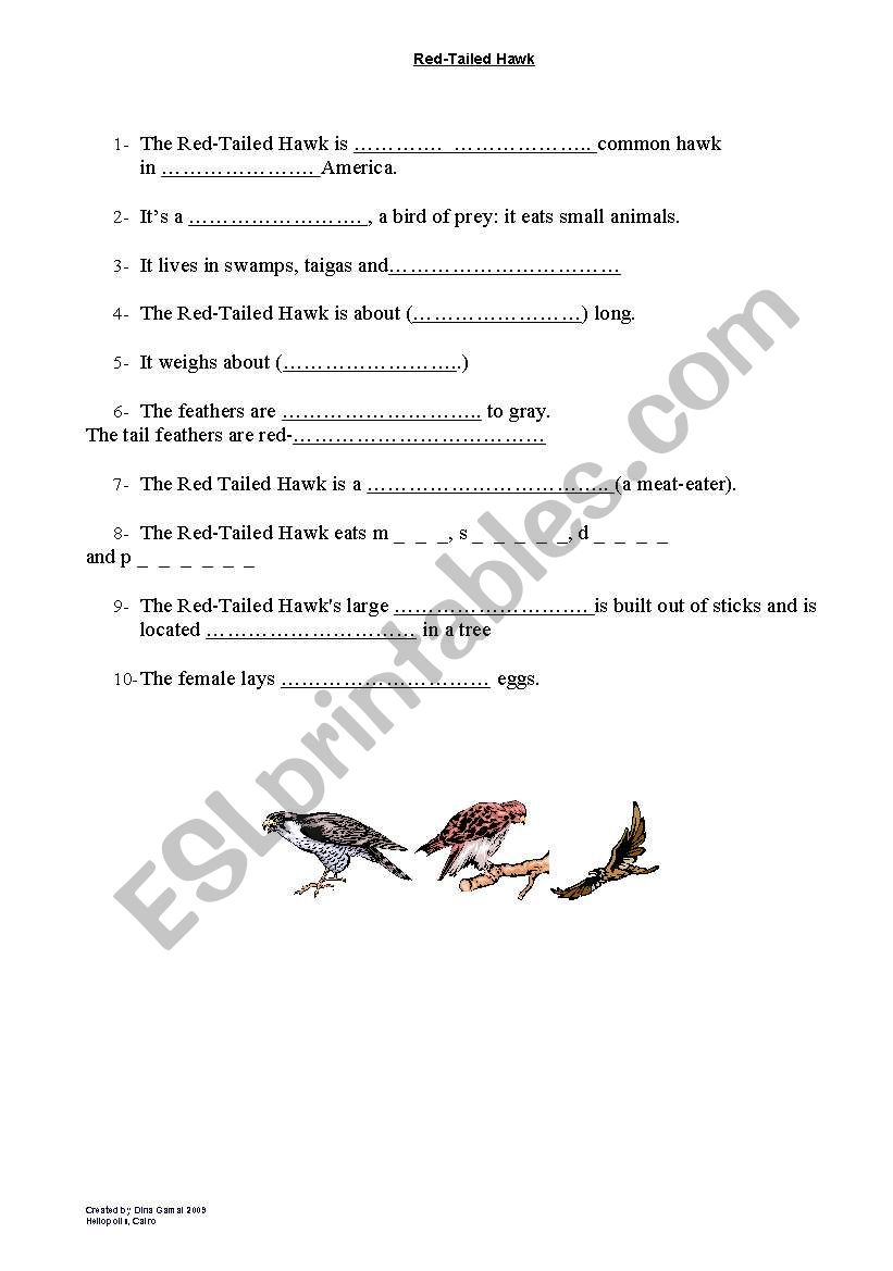 Hawks worksheet