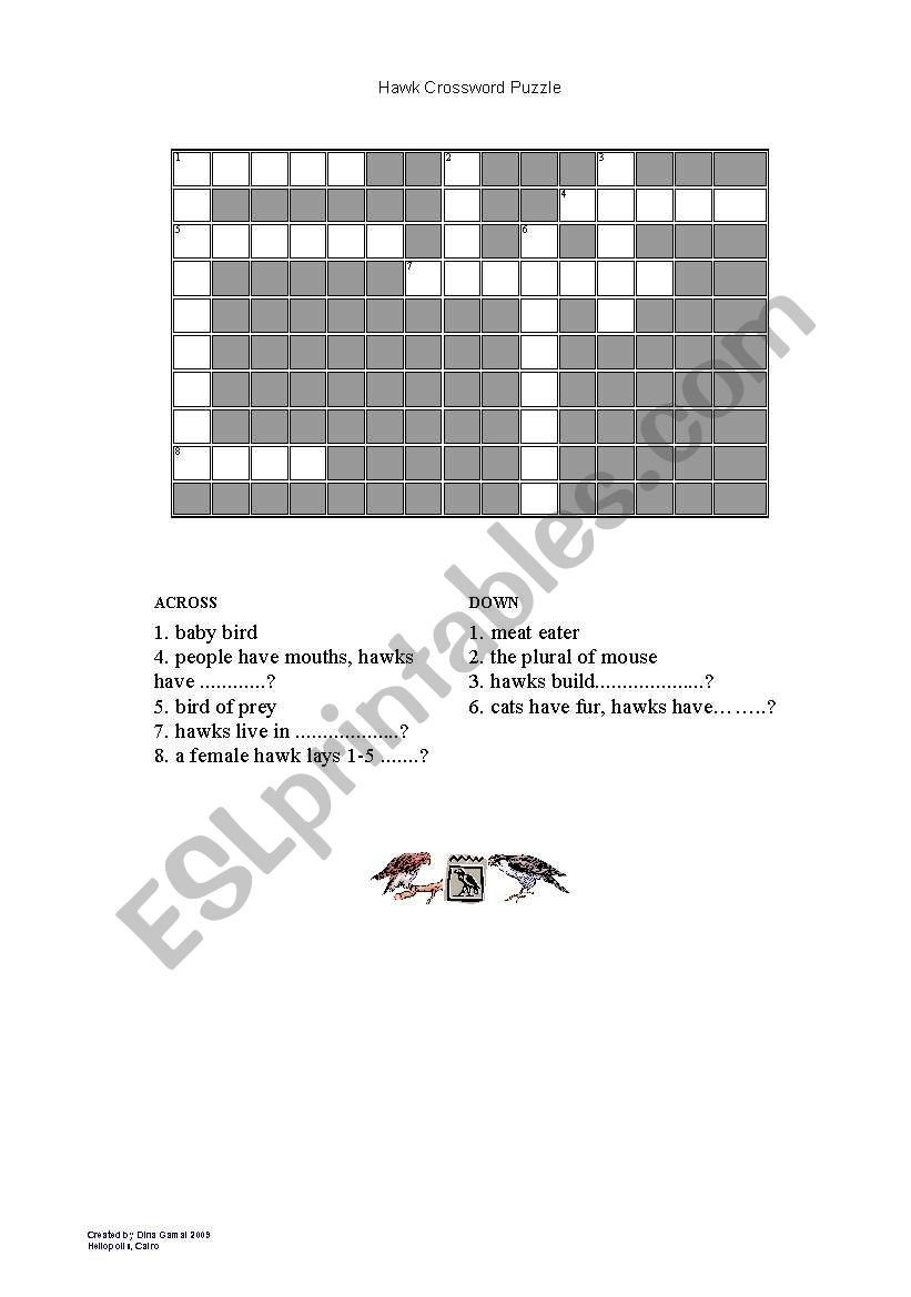 Hawk Crossword worksheet