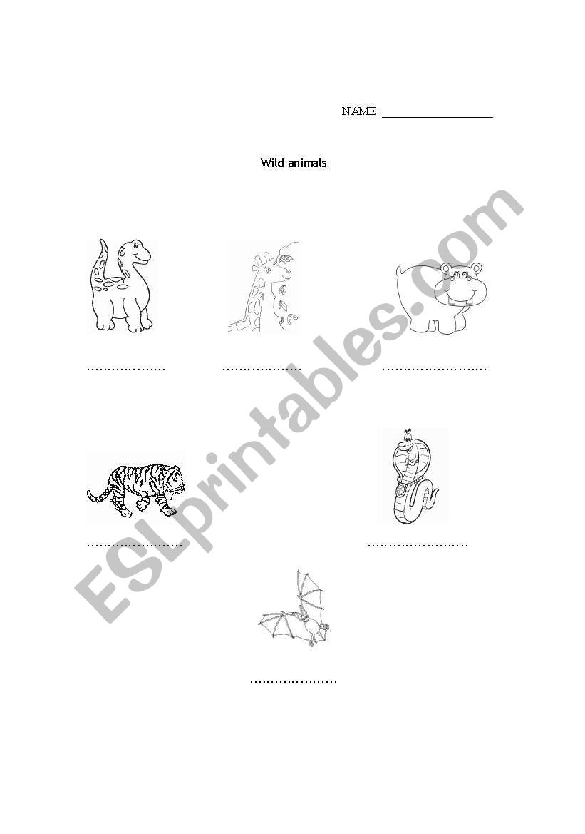 wild animals  worksheet