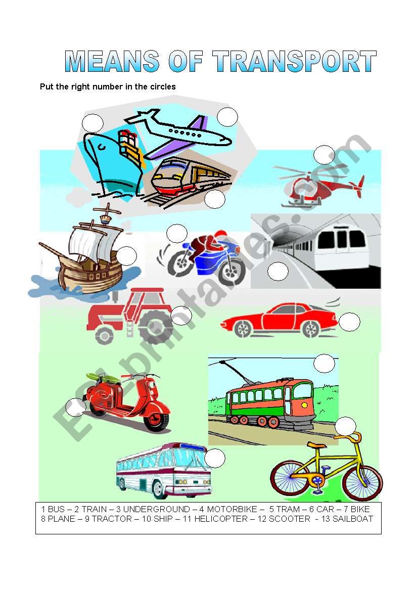 MEANS OF TRANSPORT worksheet