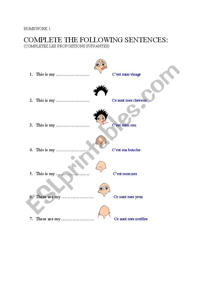 HOMEWORK - THE BODY PARTS worksheet