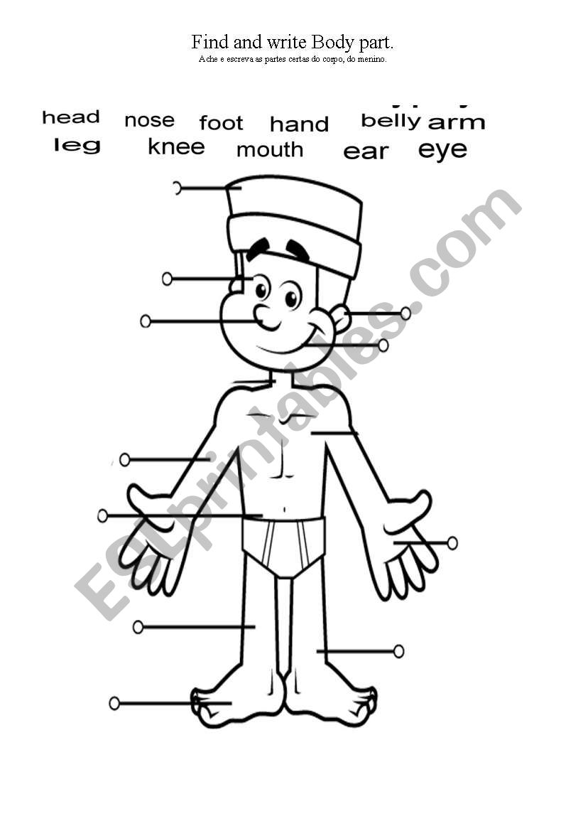 body parts worksheet