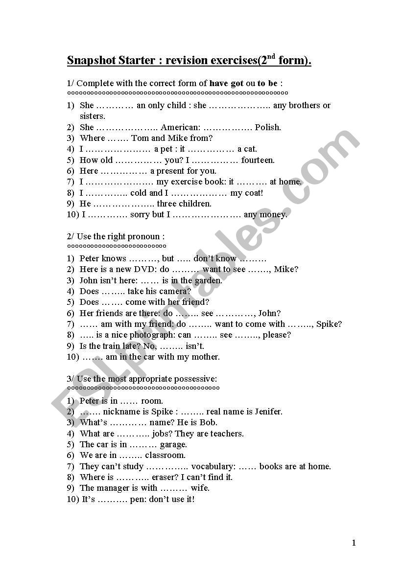 Revision exercises (New Snapshot Starter)