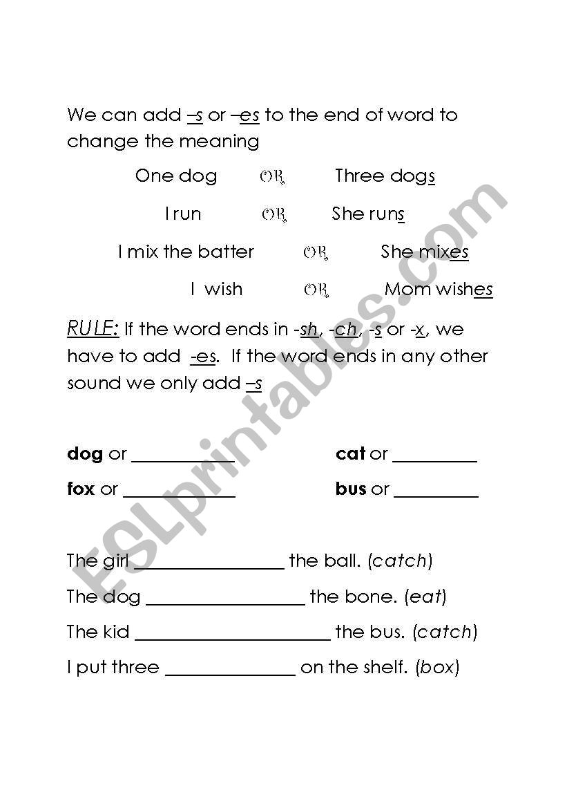 Inflectional -s and -es worksheet