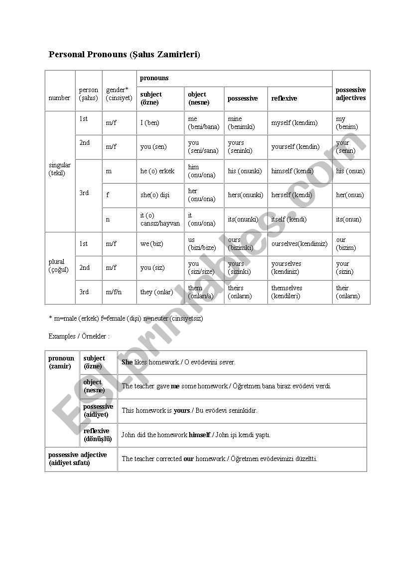 personal pronouns worksheet