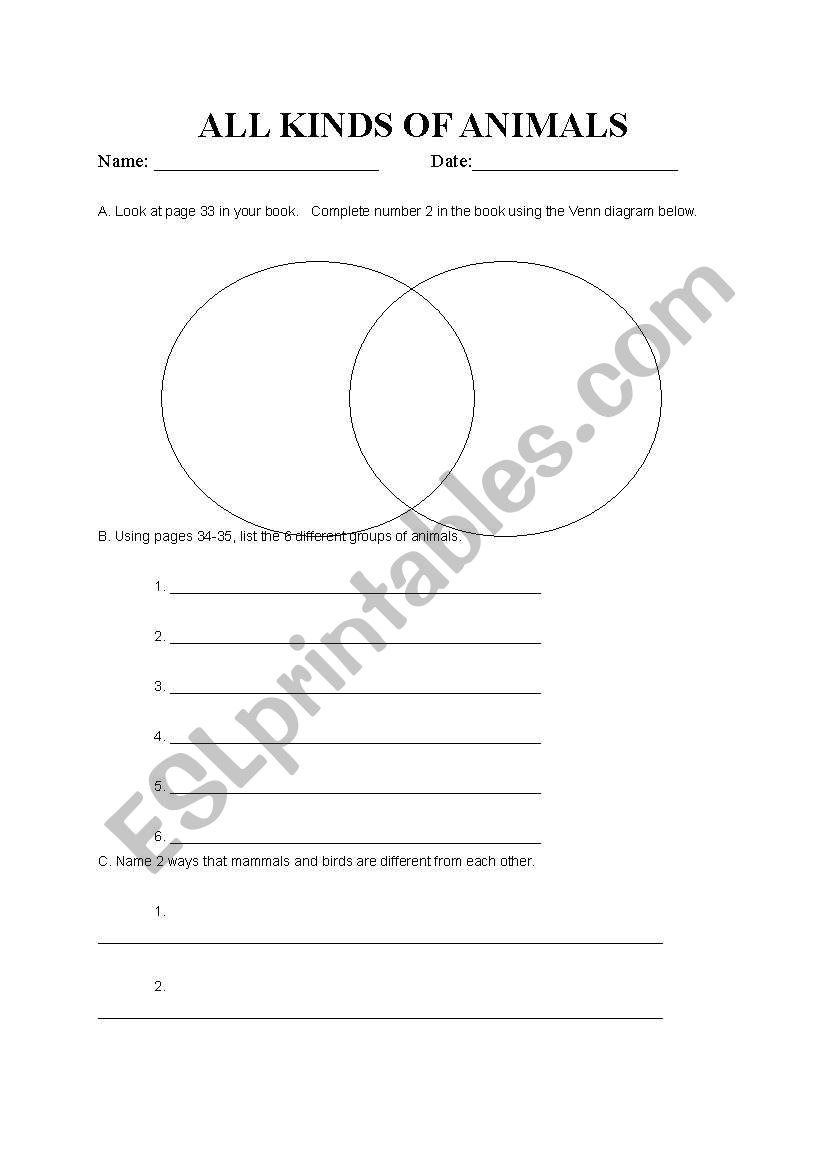 Animals Types Worksheet worksheet