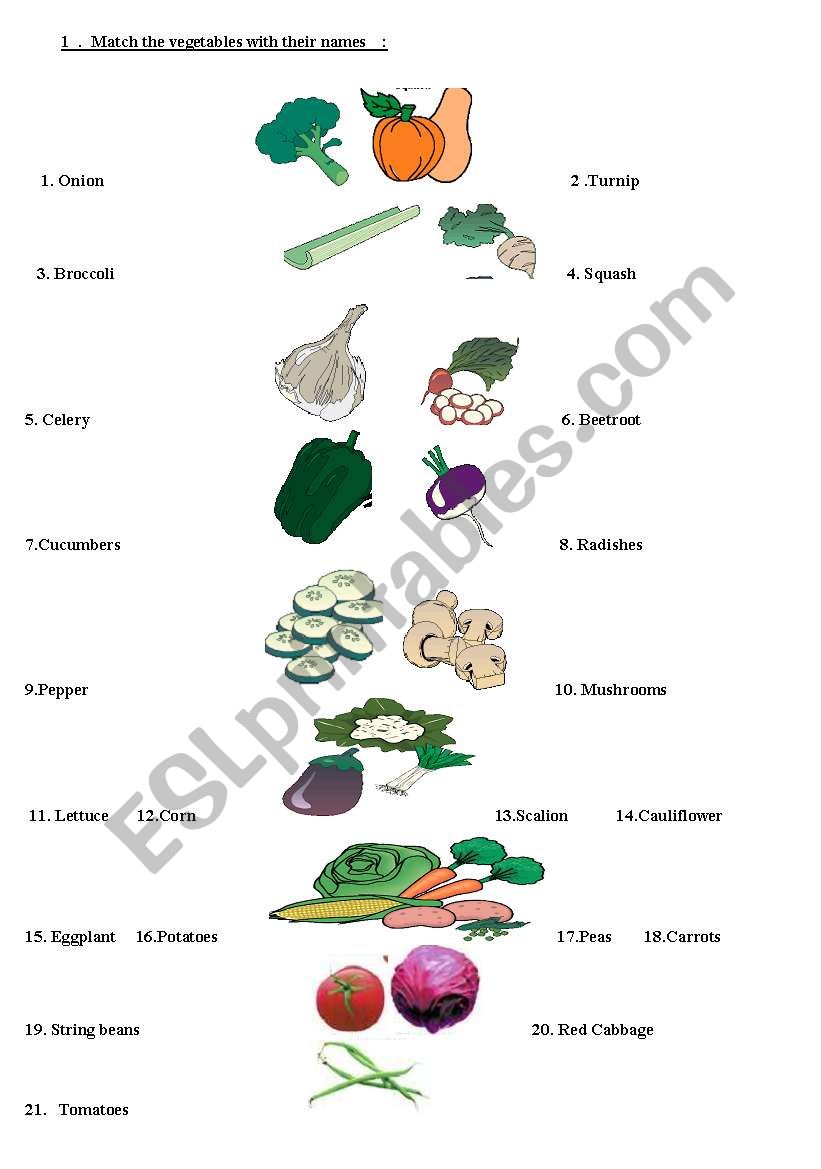 vegetables worksheet