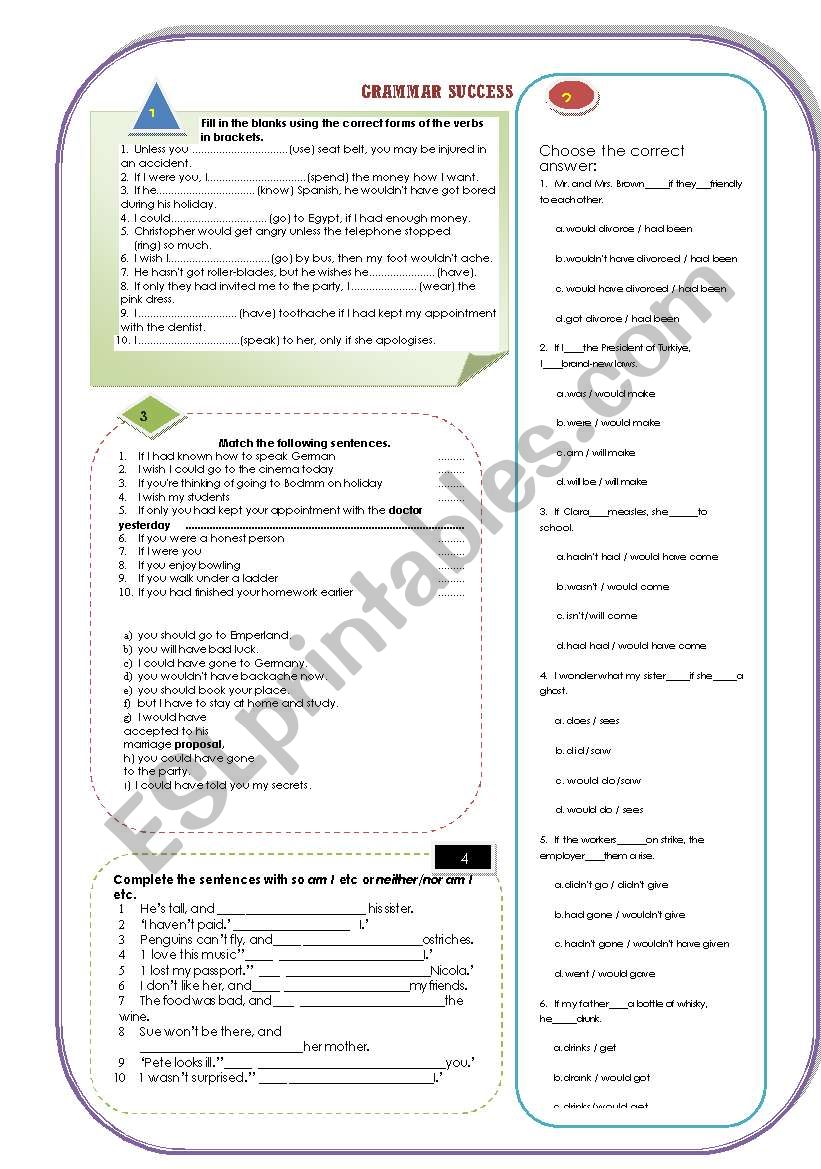 GRAMMAR SUCCESS worksheet