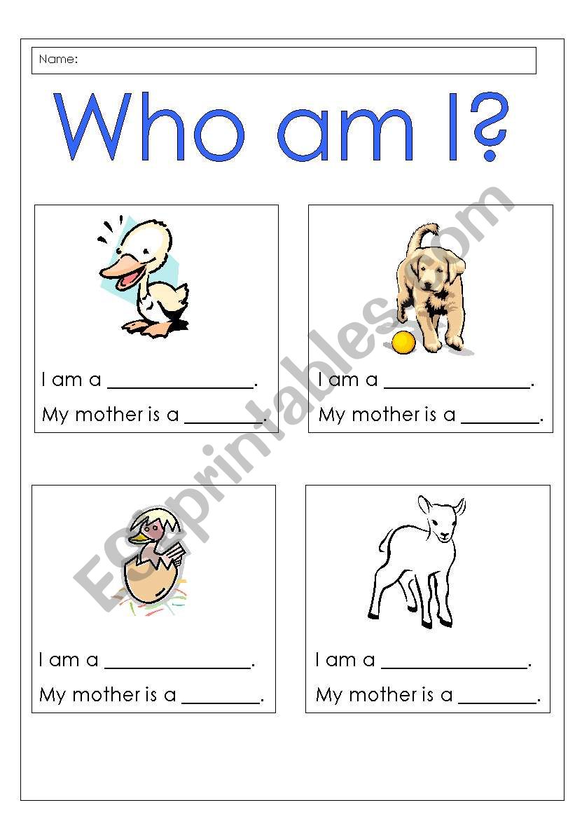 Who am I  worksheet