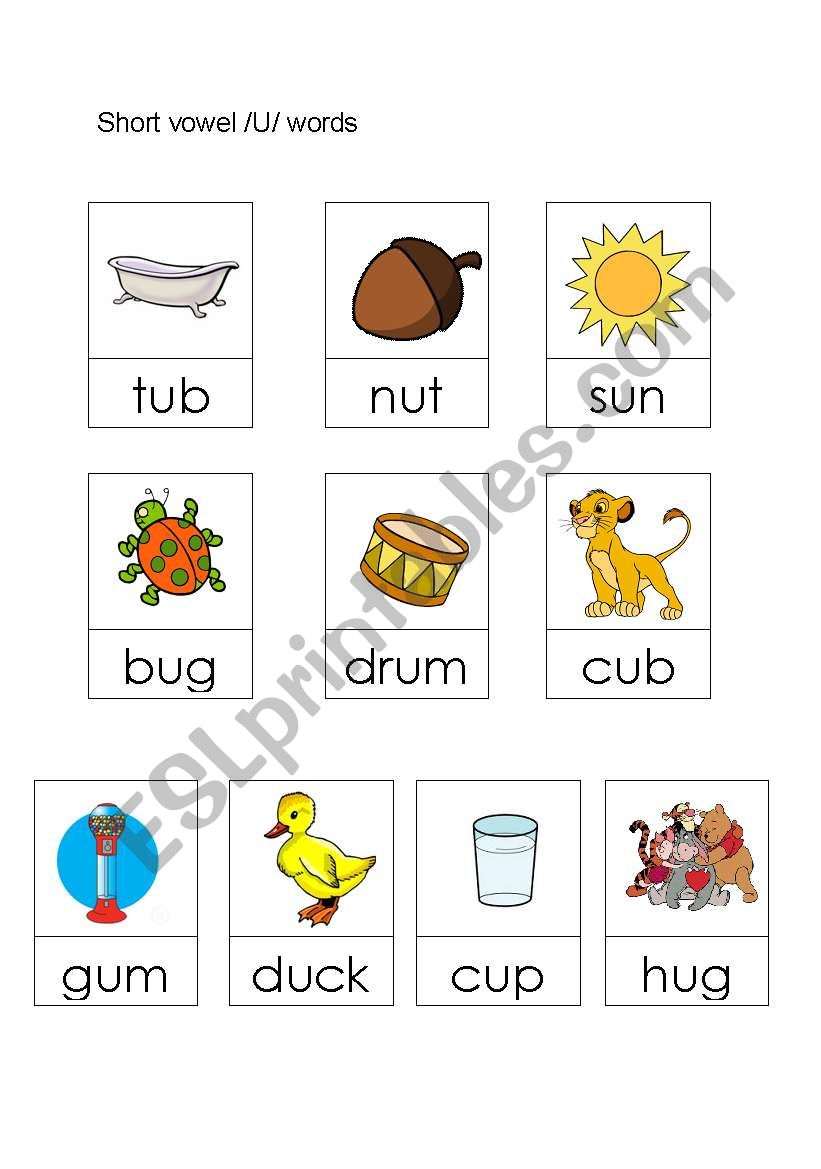 Short vowel /u/ worksheet