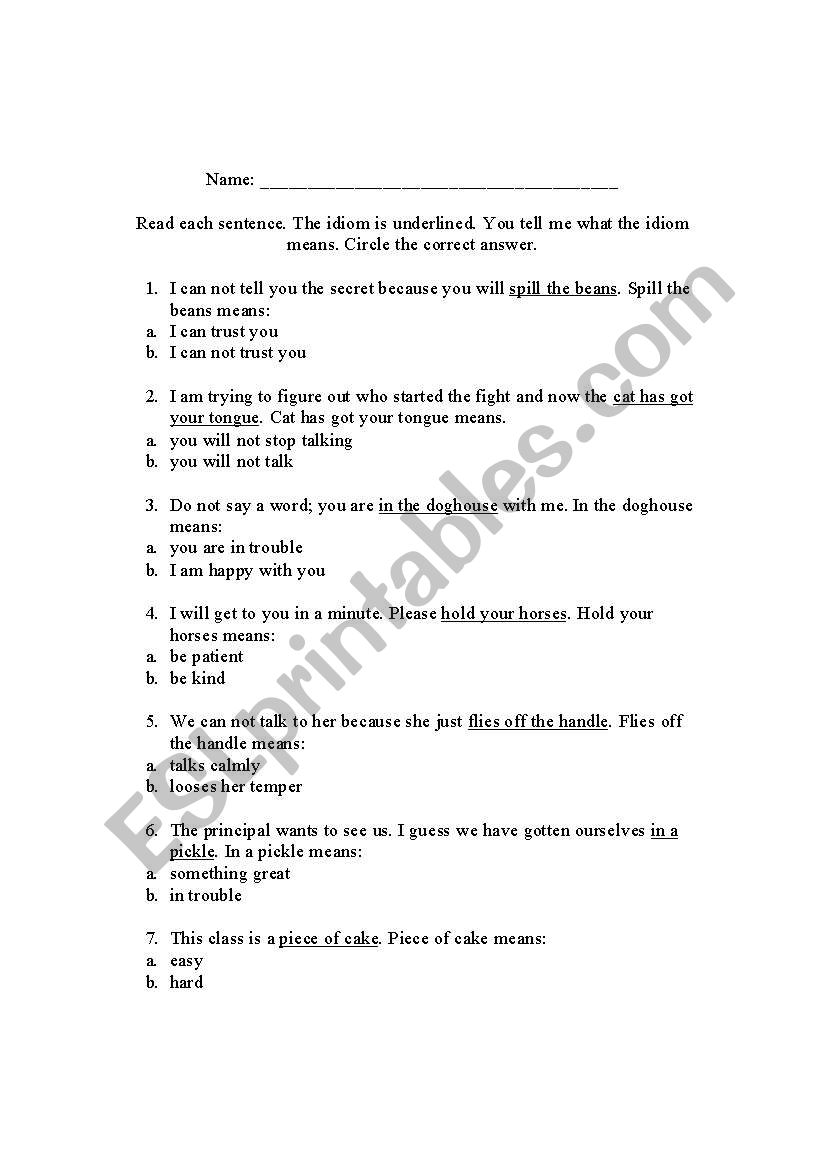 Idiom worksheet worksheet