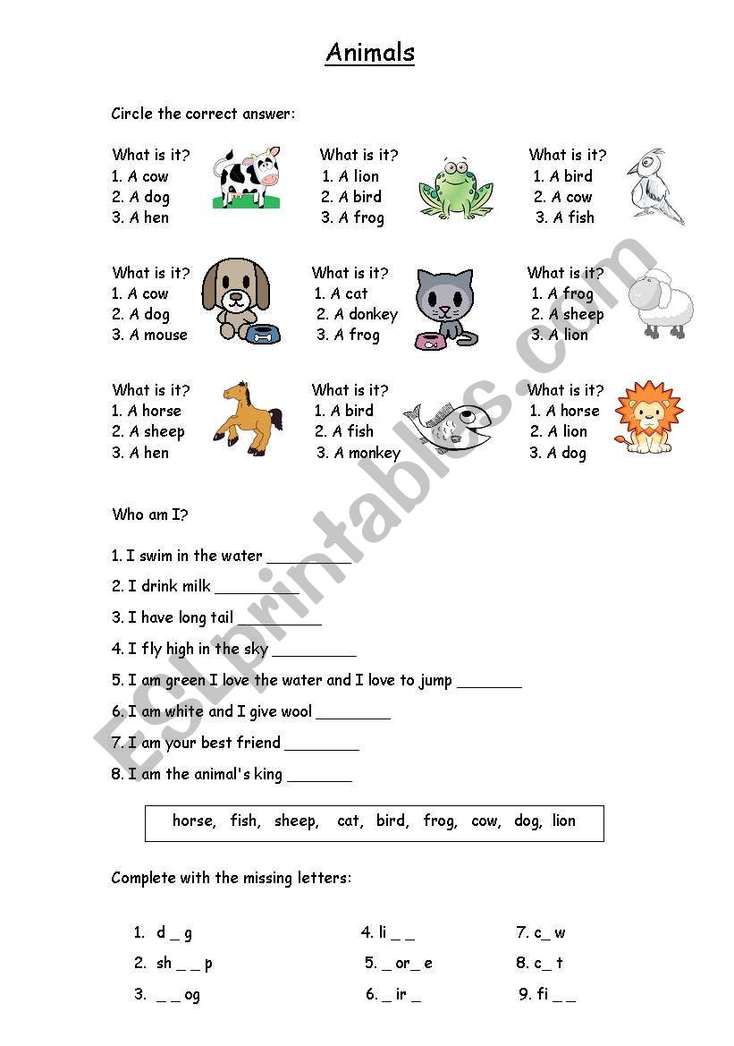 Animals worksheet