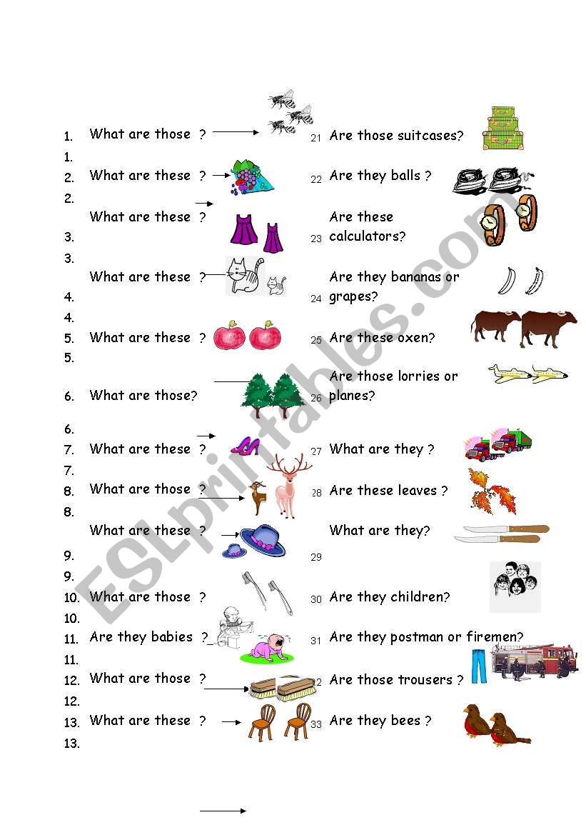 irregular plurals worksheet