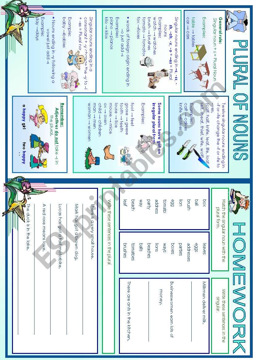 Plural of Nouns worksheet