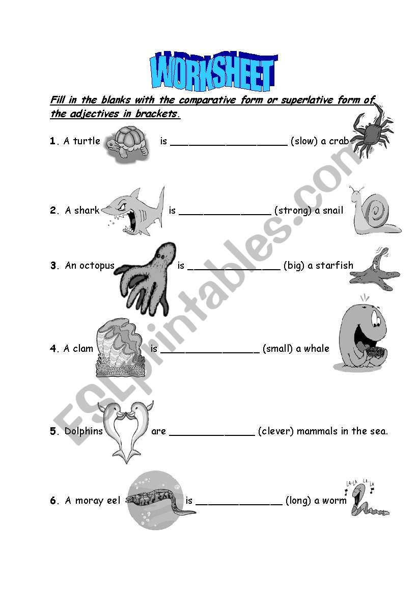 Comparative and Superlative adjectives