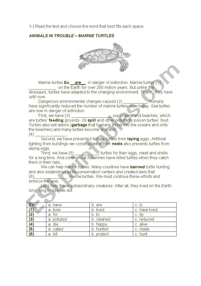 endangered species worksheet