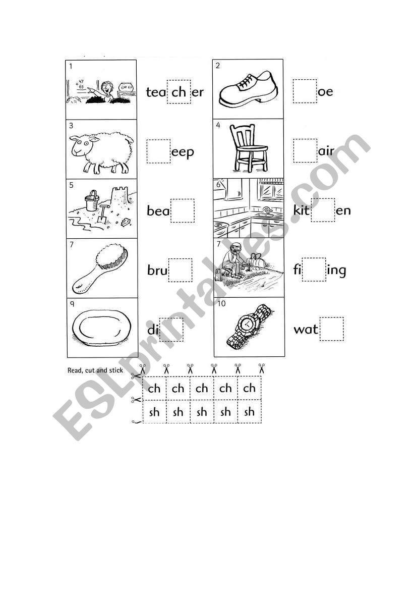 phonic - ch vs sh worksheet