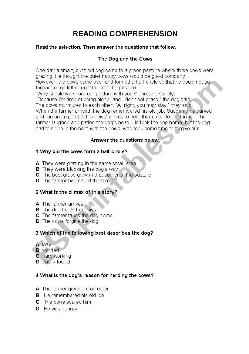 Reading comprehension worksheet