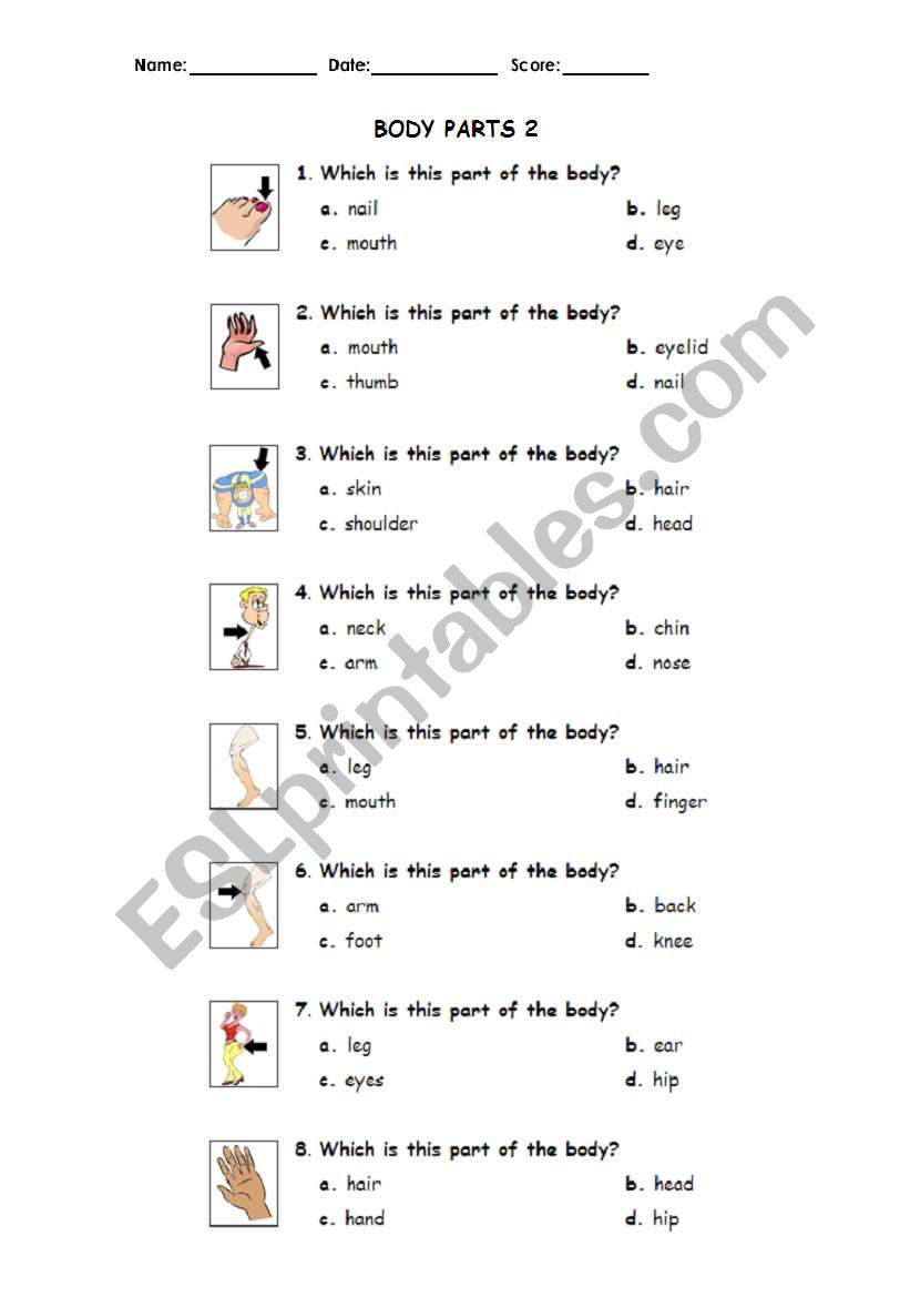 Parts of the body (answer the questions) 