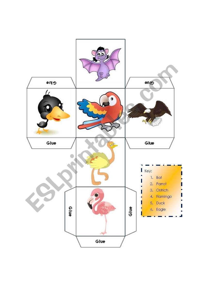 DICE - LEARNING ABOUT BIRDS - KEY INCLUDED