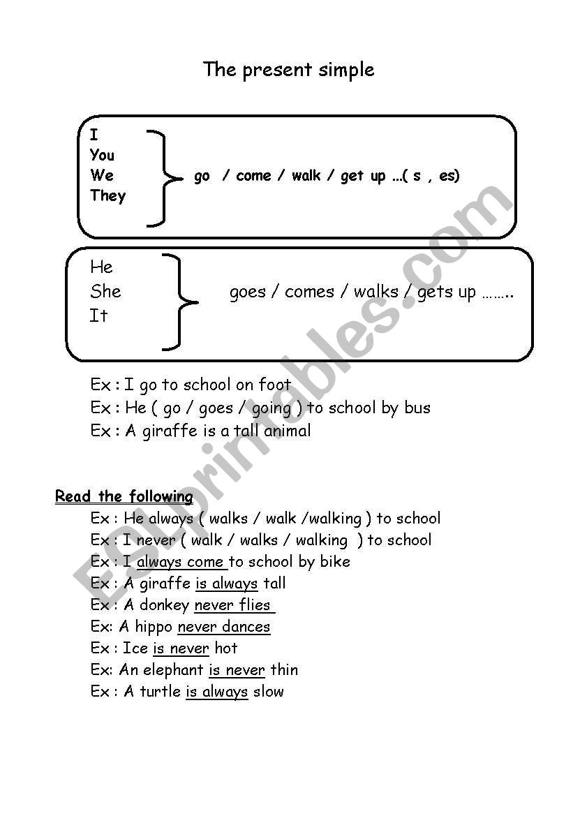 present simple & exercise  worksheet