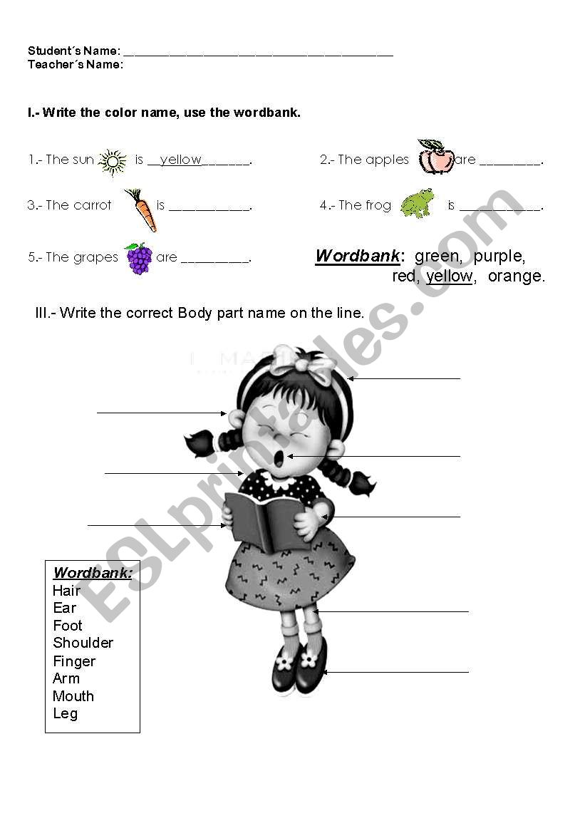 INTRODUCTORY UNIT worksheet