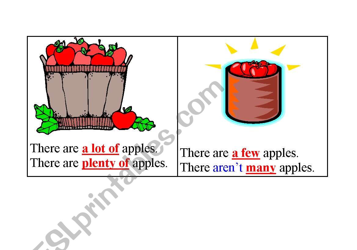 flashcards - quantifiers worksheet