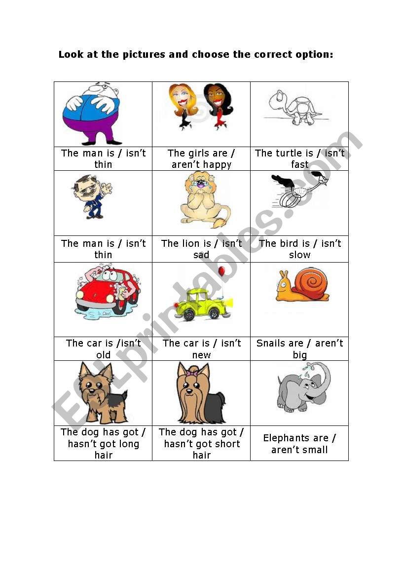 ADJECTIVES AND THE VERB TO BE worksheet