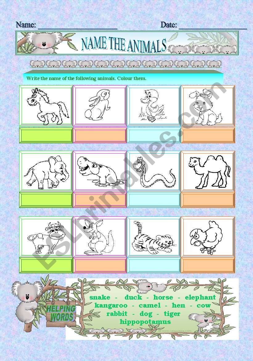 name the animals worksheet