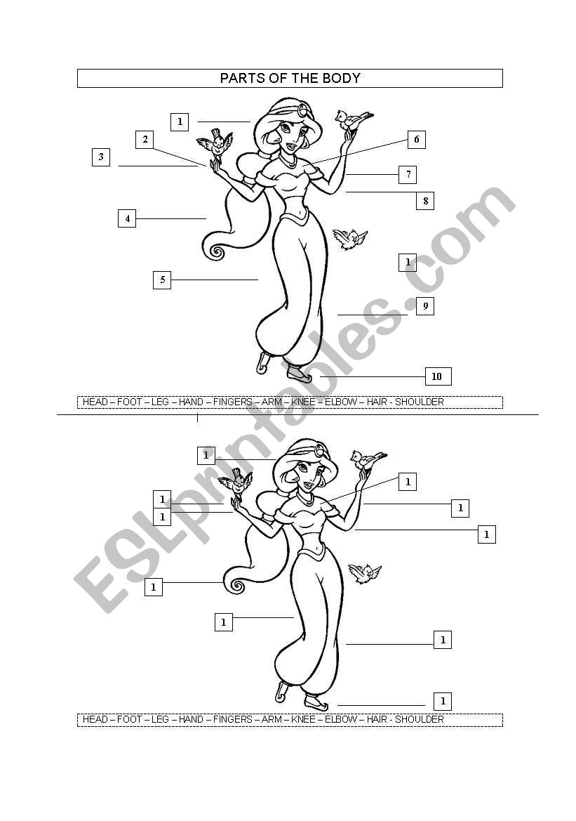 PARTS OF THE BODY worksheet