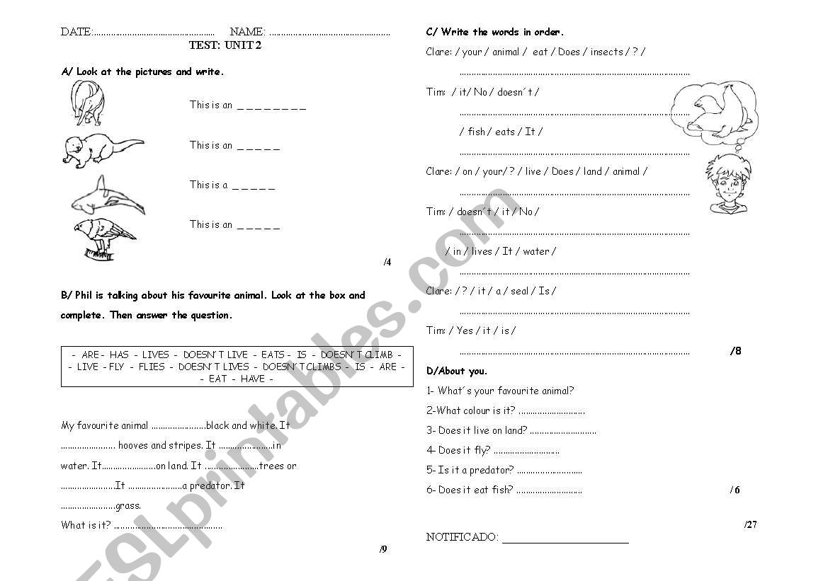 Animal Kingdom worksheet