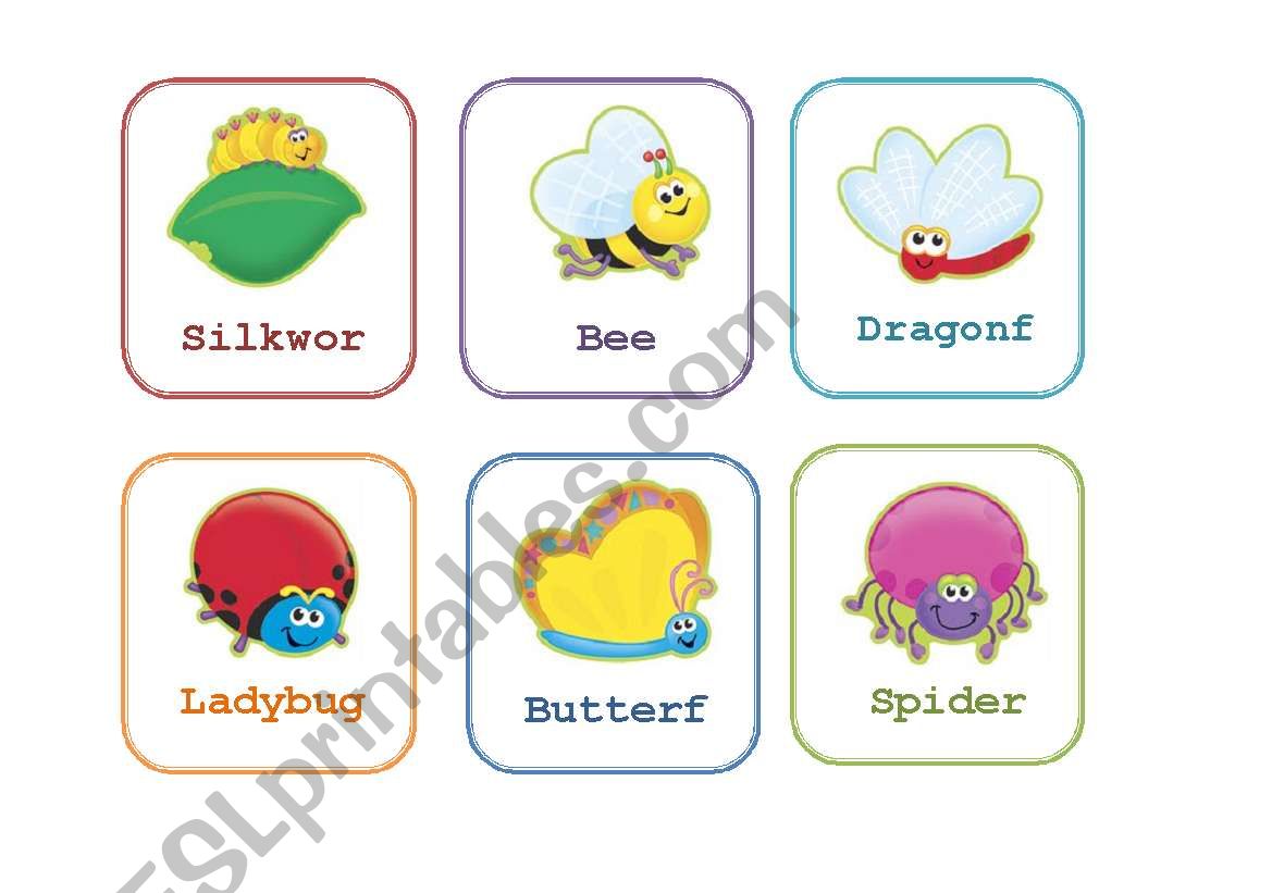 Flash card: Bugs worksheet