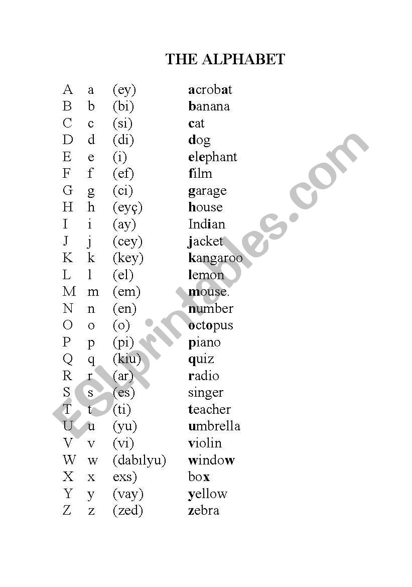 the alphabet worksheet