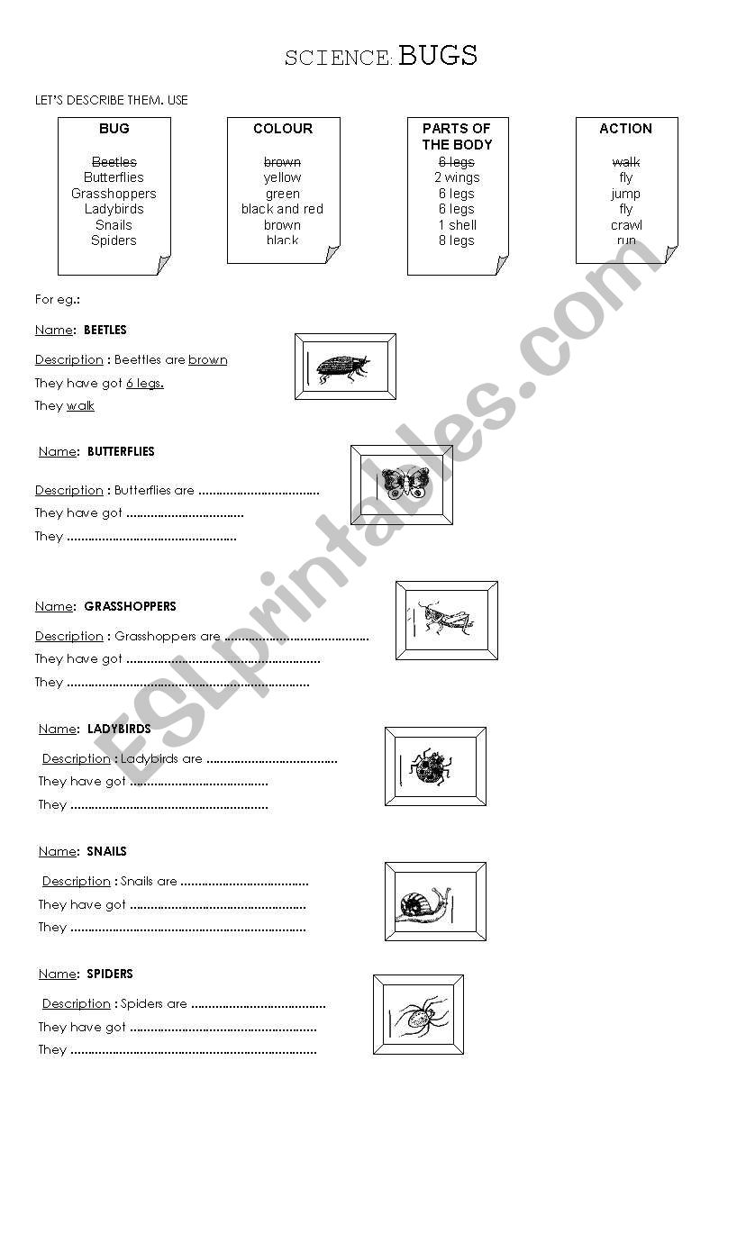 BUGS worksheet