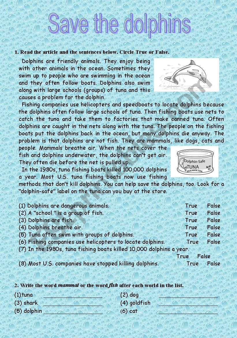 Save the dolphins worksheet