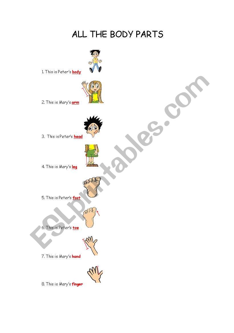 ALL THE BODY PARTS worksheet