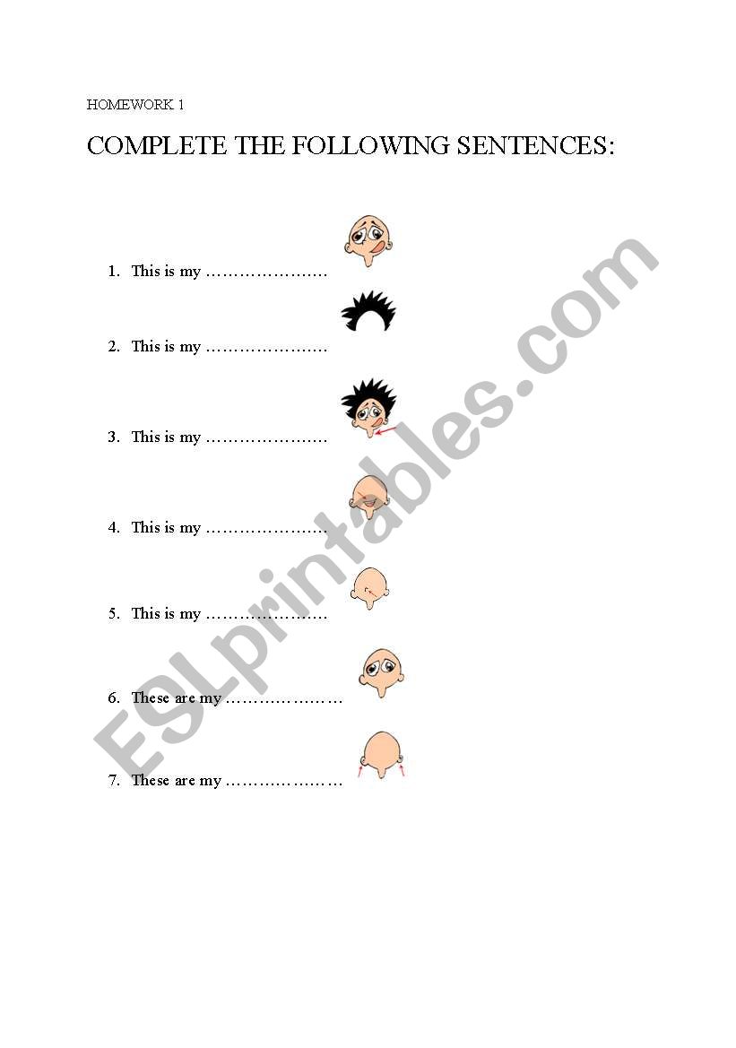 THE HEAD worksheet