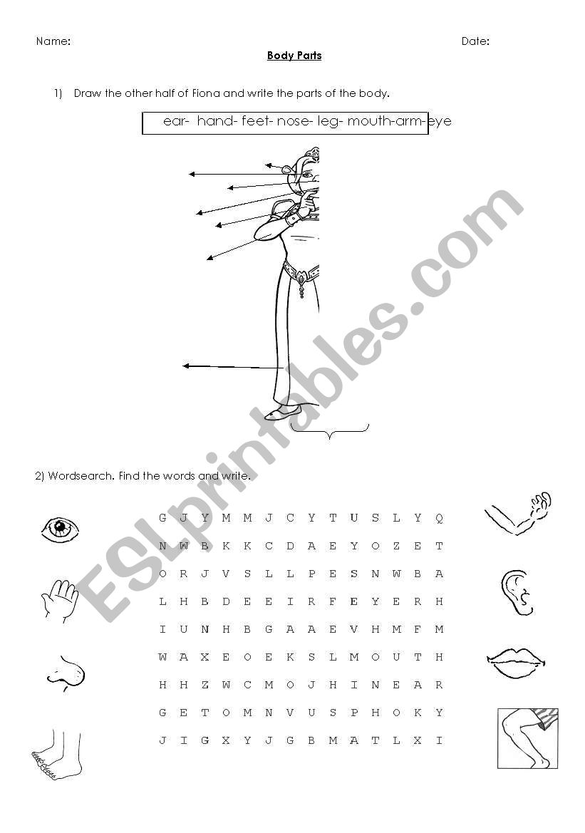 Body parts worksheet