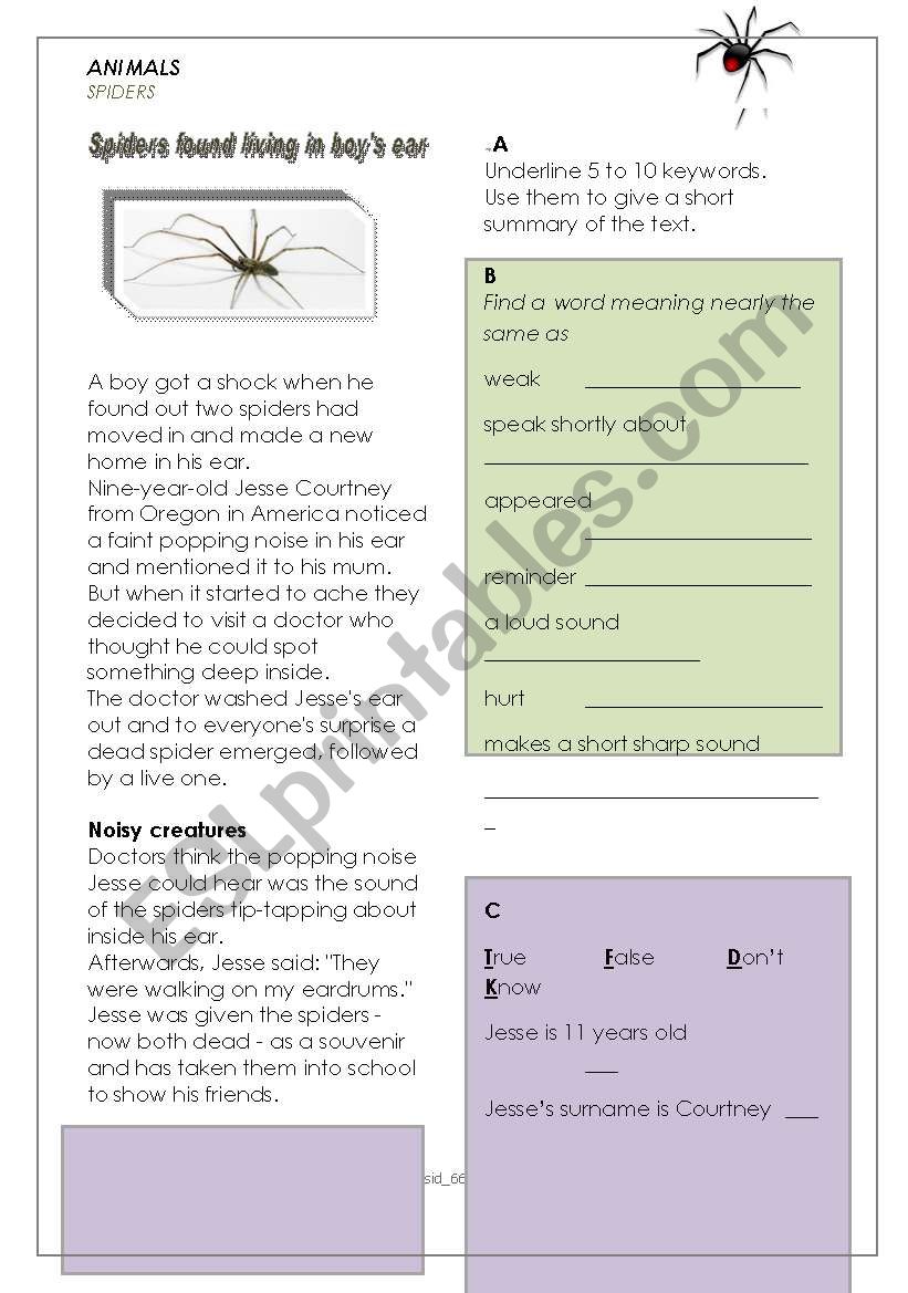 Spider in boys ear worksheet