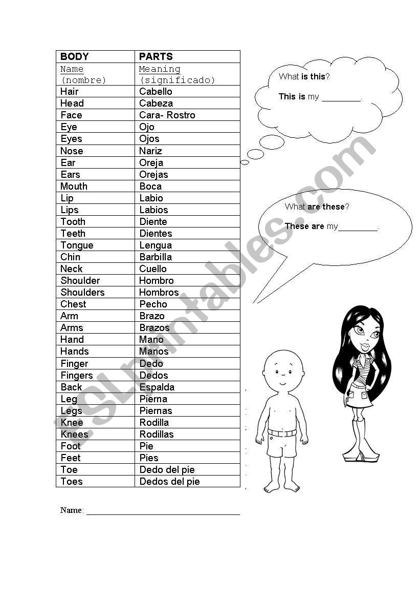 body parts worksheet