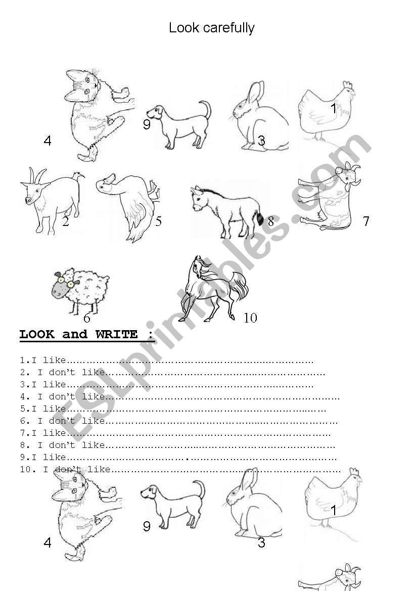 Look and wrte worksheet