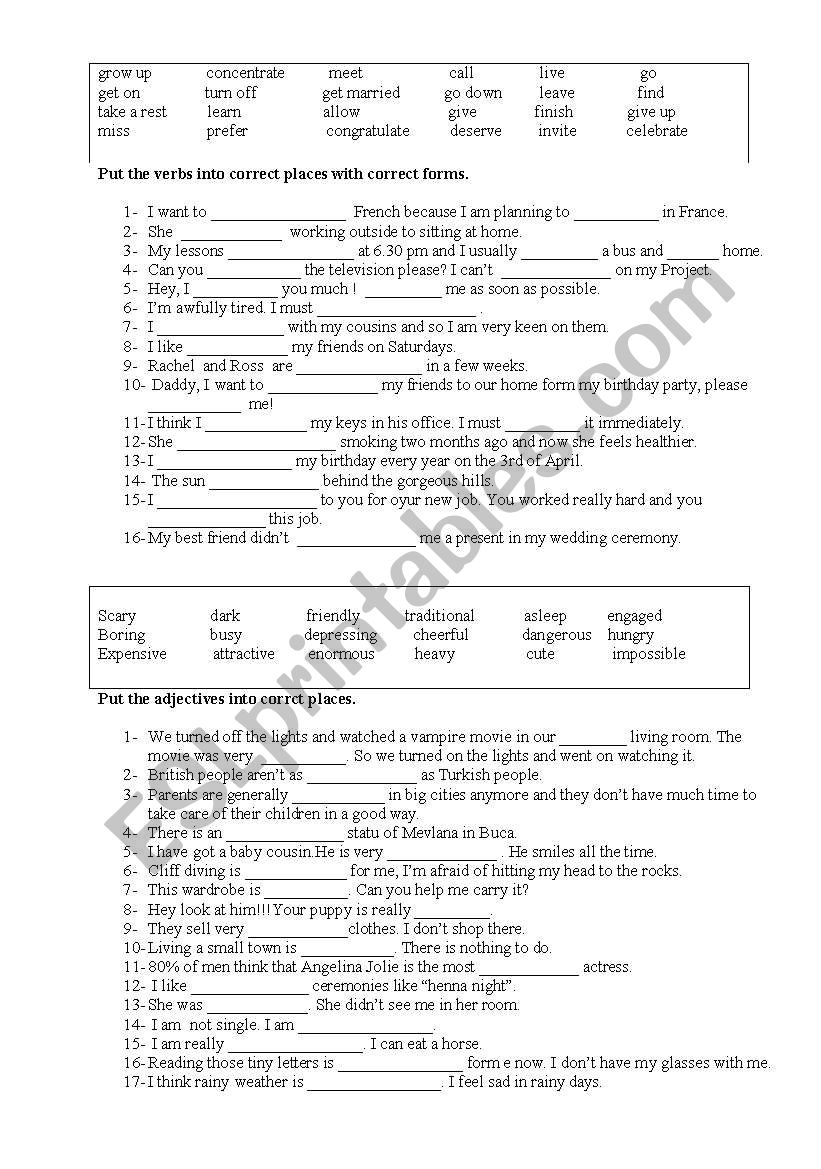 vocabulary exercise  worksheet