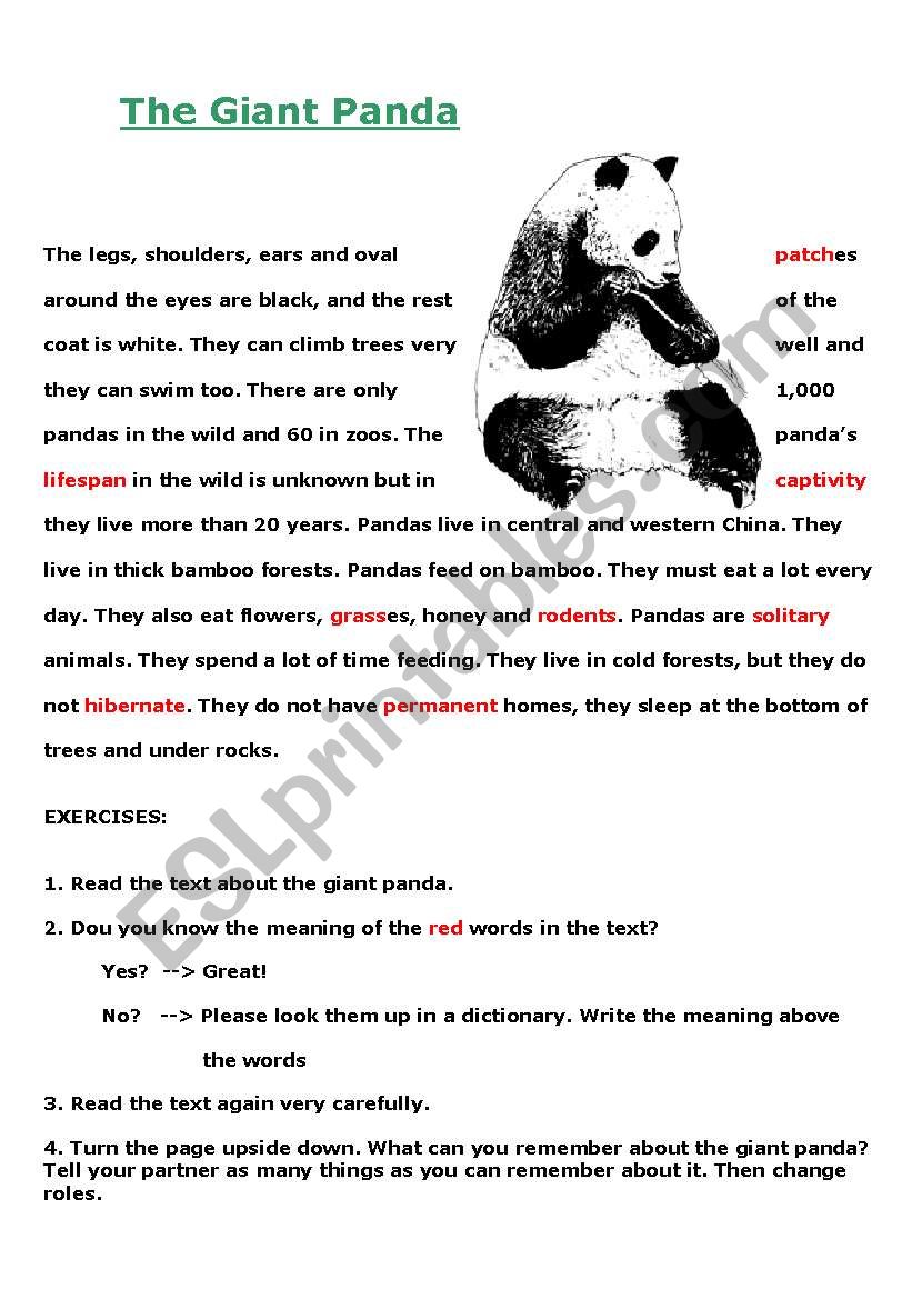 LetÂ´s learn about the giant panda - ESL worksheet by Adryenn