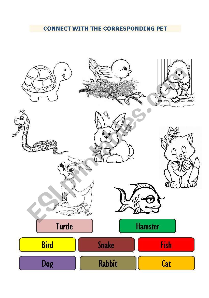 Pets worksheet