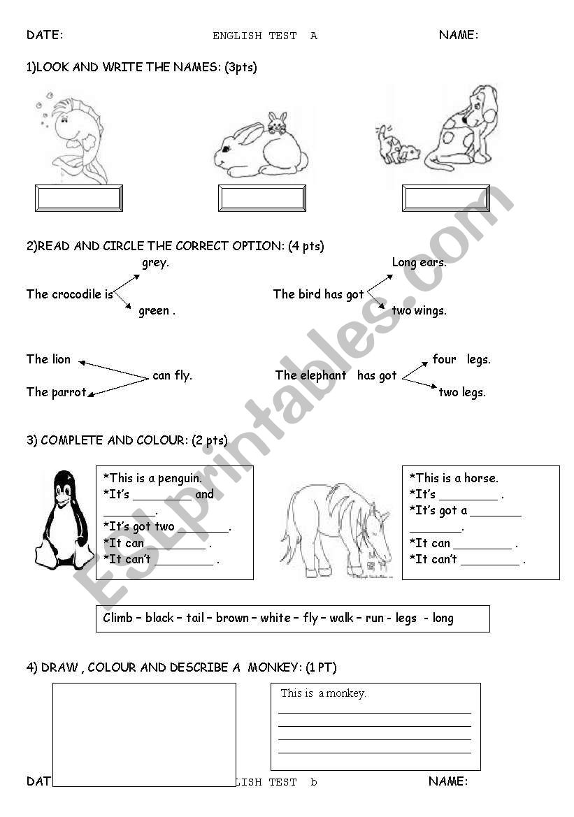 test on animals a& b 2 pages worksheet