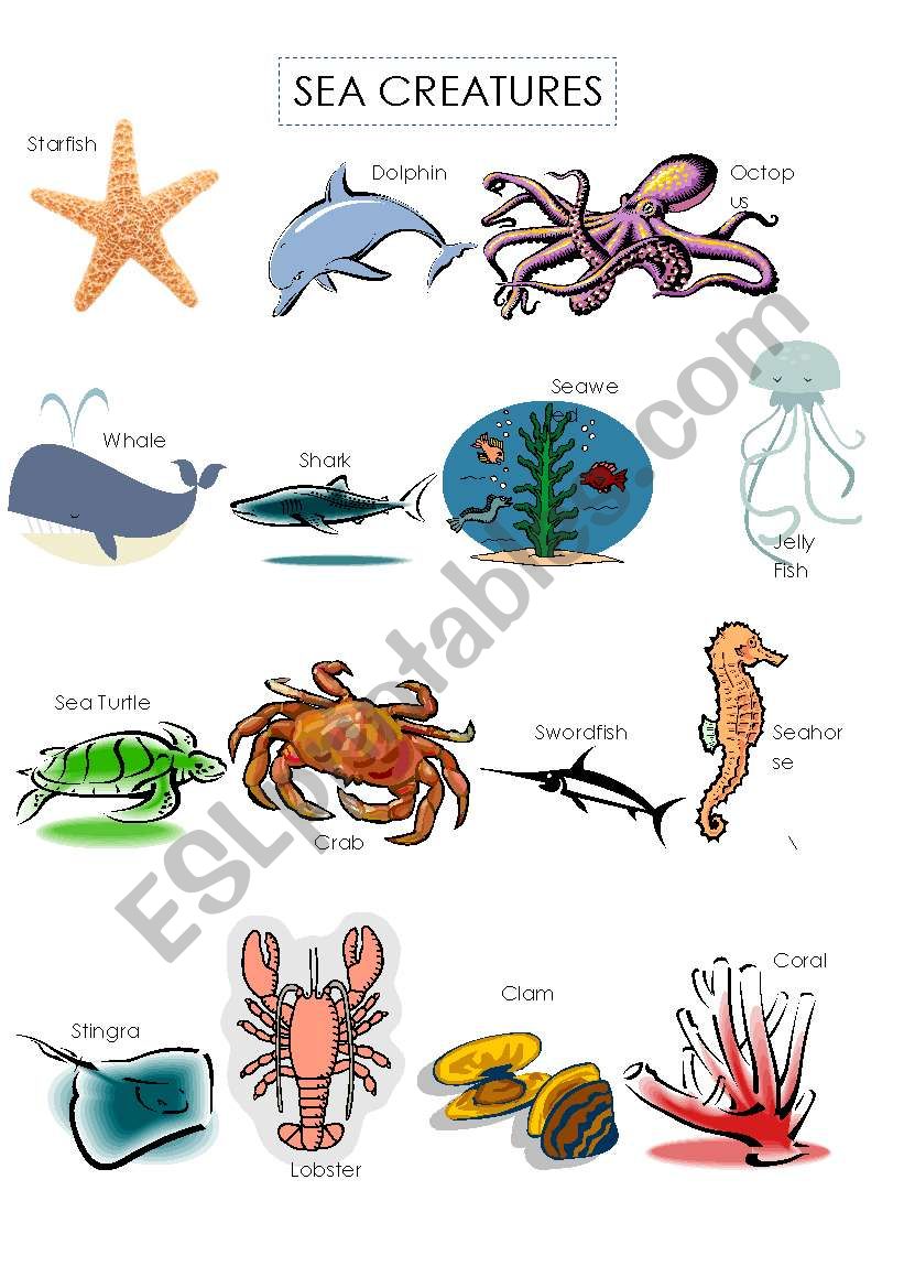 sea creatures worksheet